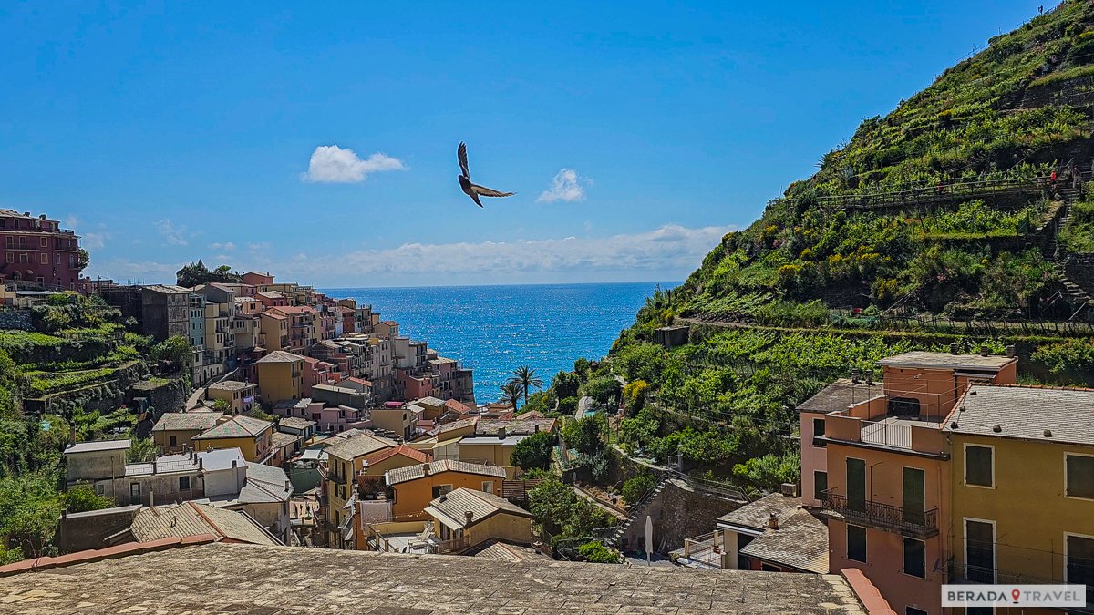 Manarola: Vista para os vinhedos