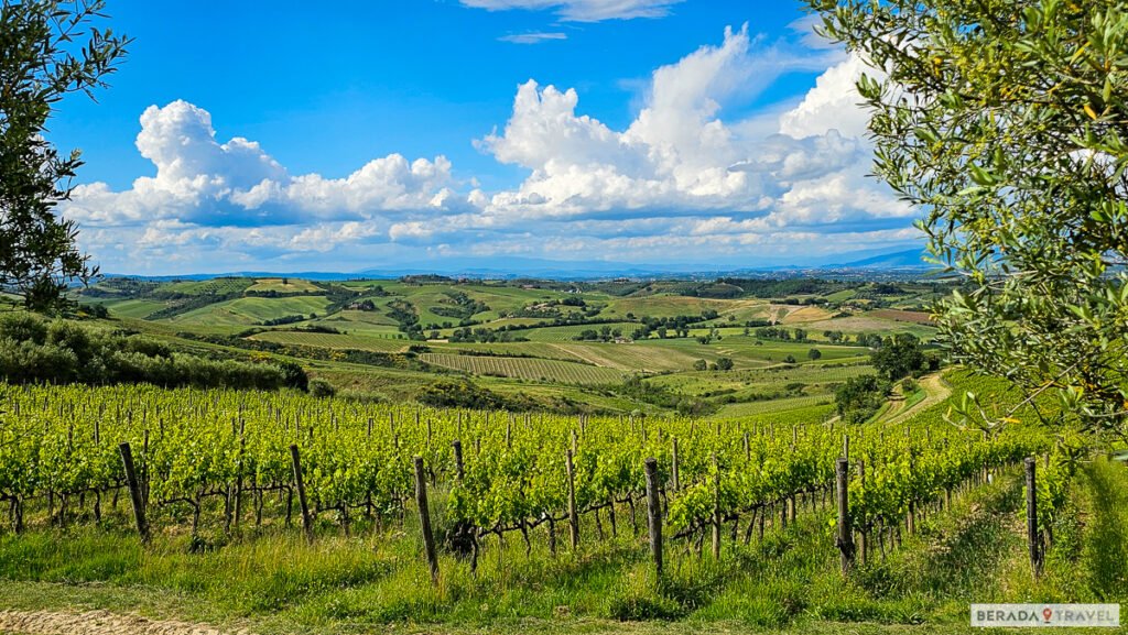 Vinícola na Toscana