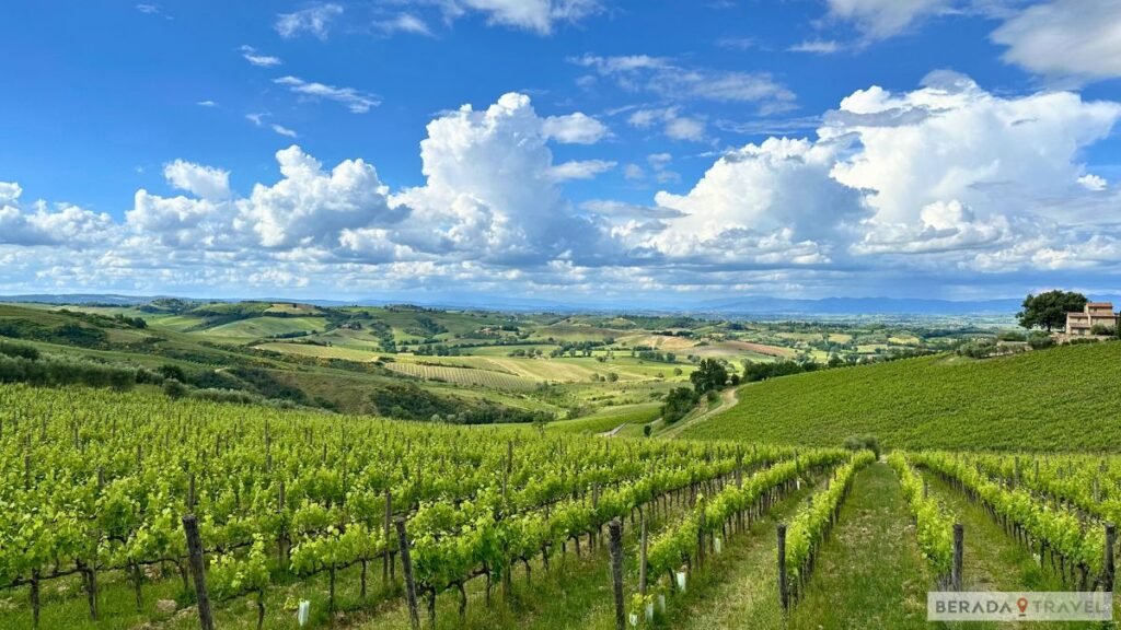 Vinicolas da Toscana