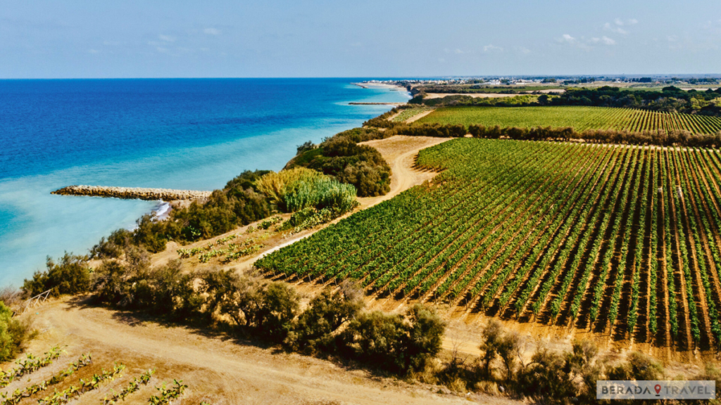 Tormaresca - Região da Puglia